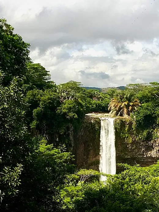 Chamarel waterfall surrounded by forest