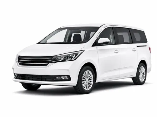 White 7-seater family vehicle